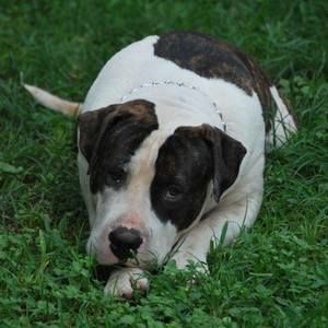 Meet your Posher, Sandy